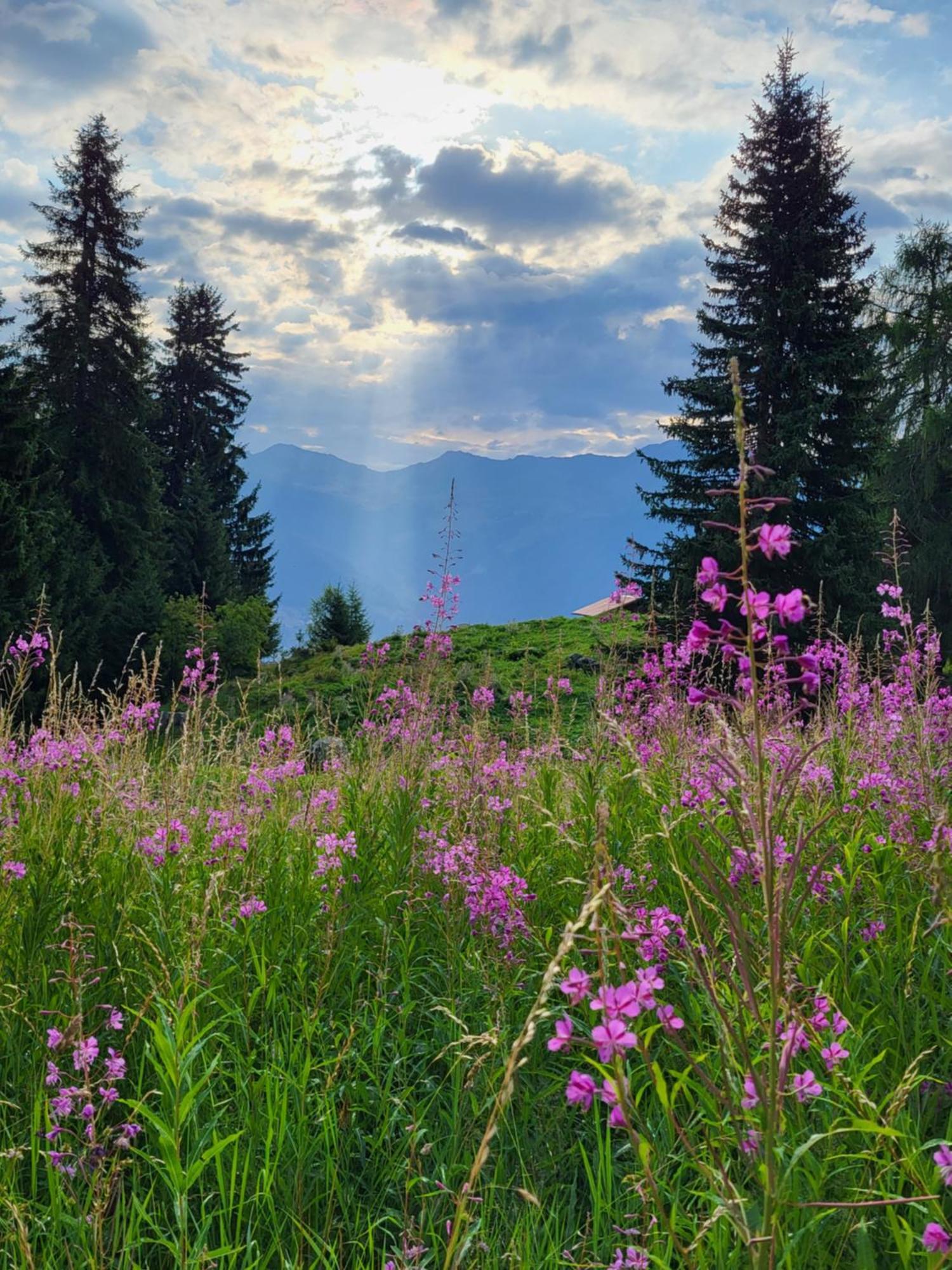 Cosy Studio For 4 Near Ski Lift, Melezes K22 Veysonnaz Εξωτερικό φωτογραφία